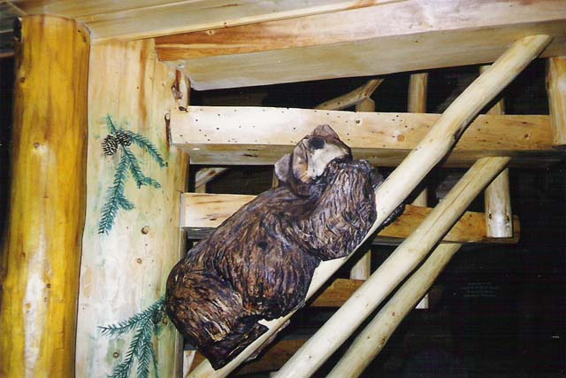 Bear on Steps